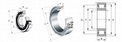 Cylindrical Roller Bearings