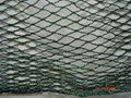 anti_bird netting 1