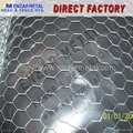 Galvanized Hexagonal Wire Netting/ PVC