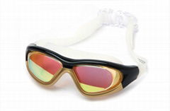 swimming goggles