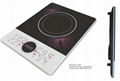 Induction cooker with Push button control (A1)