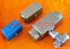 pneumatic actuator