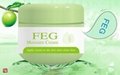 Perfect effect skin whitening bleaching cream FEG moisturizing cream 3