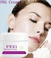 Perfect effect skin whitening bleaching cream FEG moisturizing cream 2