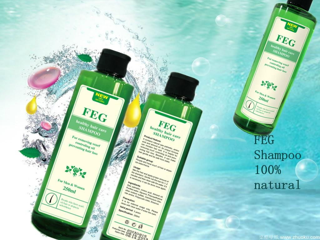 Hair fall control shampoo 2013 cure hair loss treatment FEG shampoo