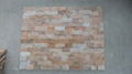 Multicolor Wall Cladding Stone Slate 