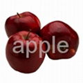  Red Fresh Apple 1