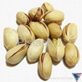 Iranian Pistachio nut