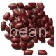  Dark red kidney beans crop 2013