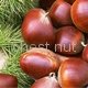 2013 New Chestnut