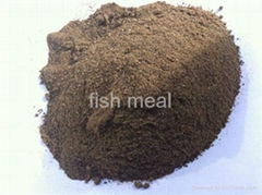 Fish Meal