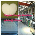 latex mattress machine