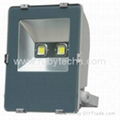 LED flood light Meanwel power supply 1