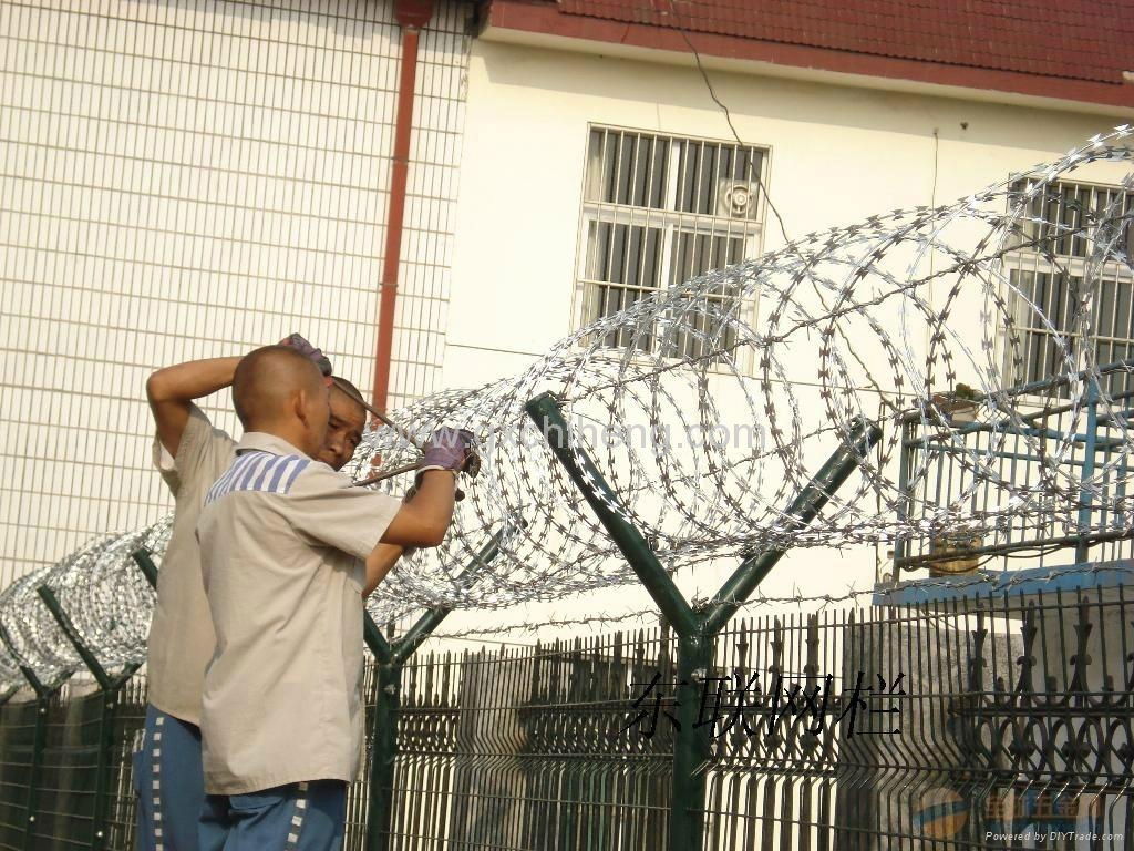 The prison Fence