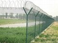 The prison Fence 4