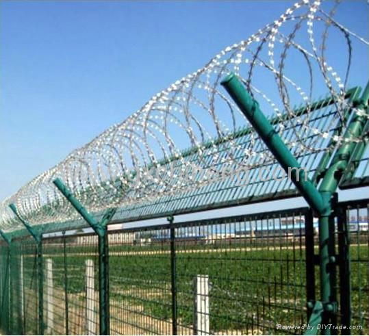 The prison Fence 5