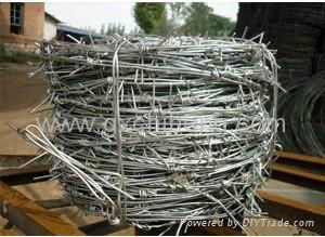 Barbed Iron Wire Mesh