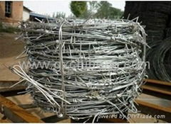 Barbed Iron Wire Mesh