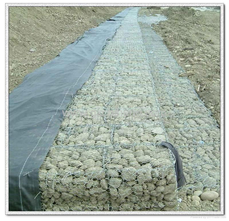 Gabion Mesh