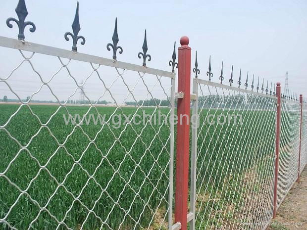 Beautiful Grid Fence Netting 4