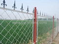 Beautiful Grid Fence Netting 4