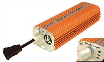 Quantum 600W 240V Electronic Ballast