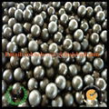 strong antirust stainless steel ball(0.5-50.8mm) 3