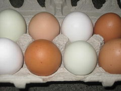 FARM FRESH BROWN TABLE EGGS