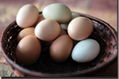 Farm Fresh White Shell Table Eggs