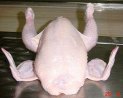 halal fresh frozen whole chicken leg boneless skin on