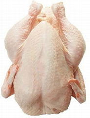 Chicken - Halal Frozen Whole Griller Chicken