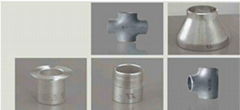 Duplex Stainless Pipe Fitting