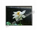 Sell 5" TFT LCD Panel