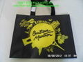 PP WOVEN SHOPPING BAG 2