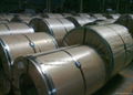 galvanized steel coil 3