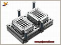 Plastic Beer Crate Mould