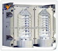 Plastic Bottle Mould 2