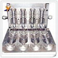 Plastic Bottle Mould 4