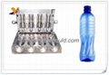 Plastic Bottle Mould 5