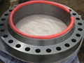 stainless steel  weld neck flanges