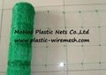 climbing plant support net&mesh pea&bean net&mesh  flower net&mesh(factory) 2