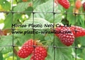 BOP anti bird net&mesh fruit&garden protect net&mesh anti bird net&mesh(factory) 3