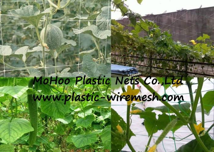 plant support net&mesh pea&bean net&mesh extrudedplant net(factory)  3