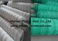 plant support net&mesh pea&bean net&mesh extrudedplant net(factory)  4