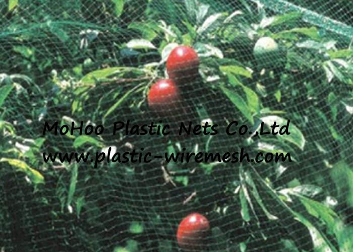 anti bird net&mesh fruit&garden protect net&mesh agriculture anti bird net&mesh( 2