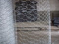 Hexagonal Galvanized Wire Mesh for Chicken Fence and Poultry Cage  1
