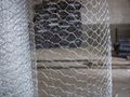 Hexagonal Galvanized Wire Mesh for