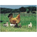 Hexagonal Galvanized Wire Mesh for Chicken Fence and Poultry Cage  4