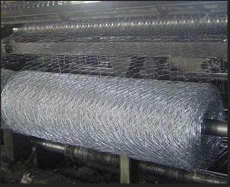 Hexagonal Galvanized Wire Mesh for Chicken Fence and Poultry Cage  5