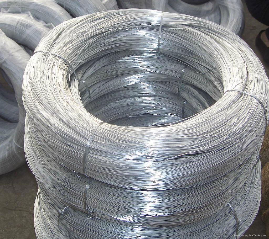 Electro/Hot Dipped Galvanized Steel Wire Factory price